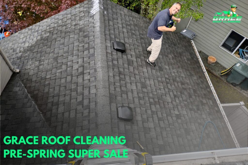 Worker on a dark roof cleaning shingles, with green text reading “Grace Roof Cleaning Pre-Spring Super Sale.”