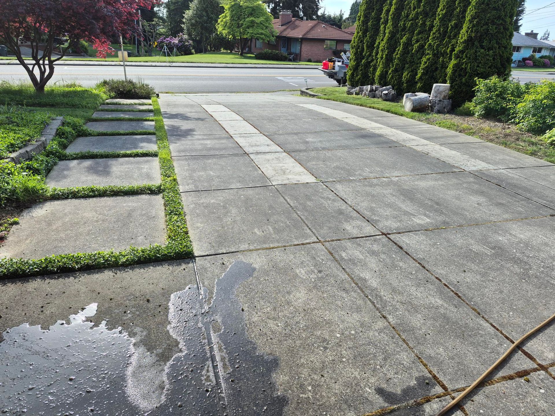 Wet concrete driveway and sidewalk with puddles, bordered by grass and shrubs, leading to a suburban street.