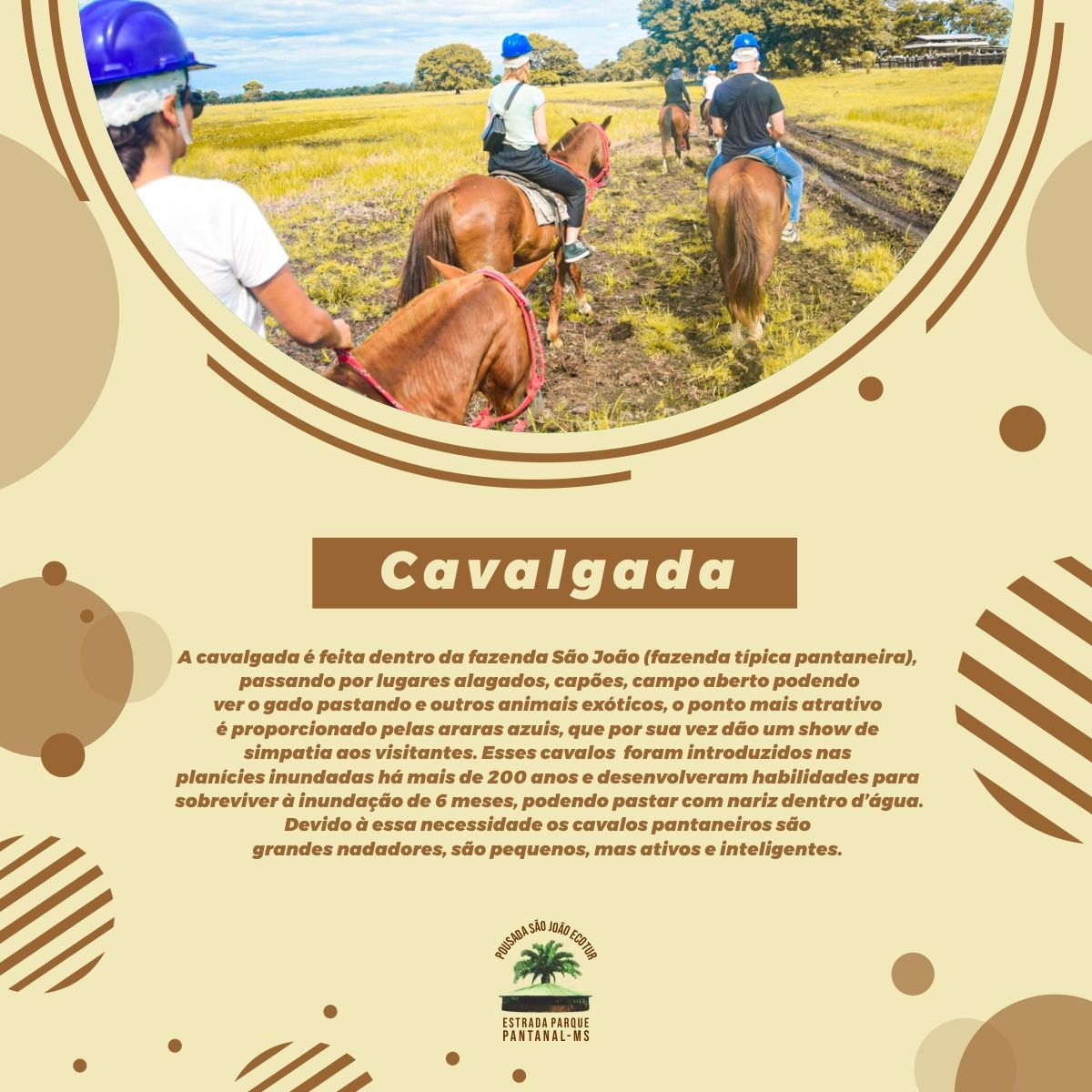 Um grupo de pessoas está cavalgando em um campo.