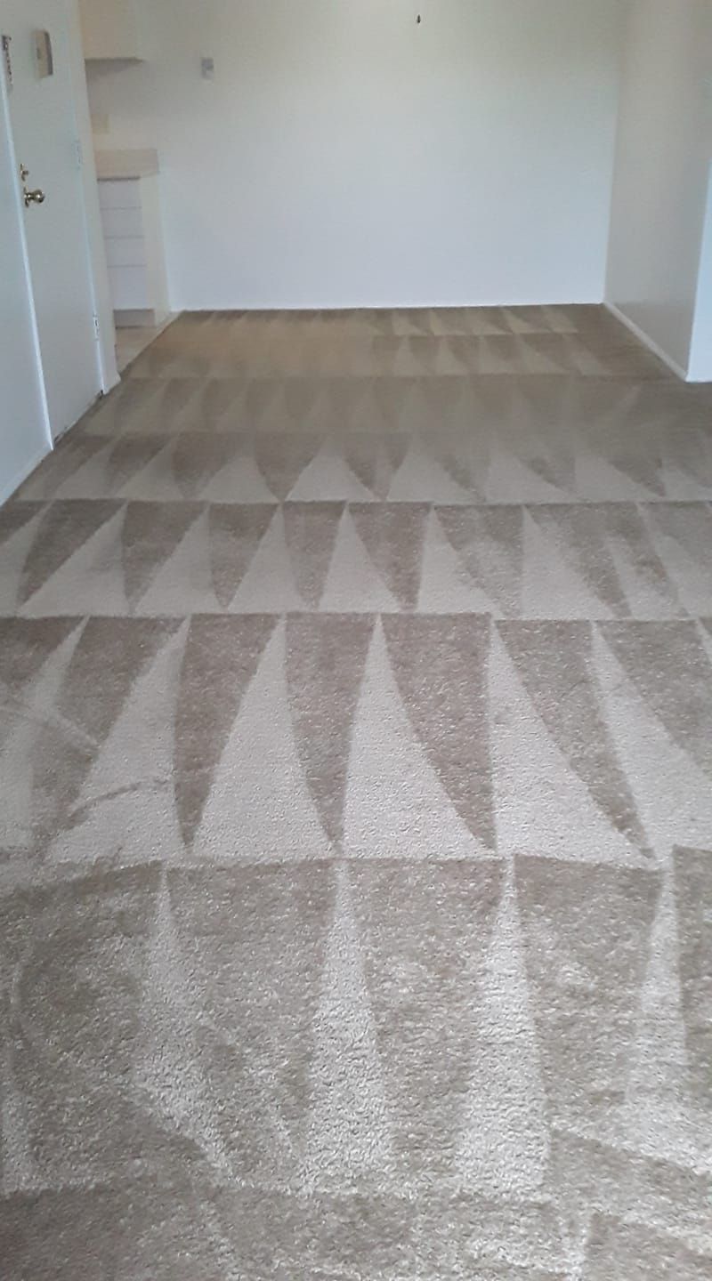 a room with a carpet that has a pattern of triangles in St. Louis, Missouri