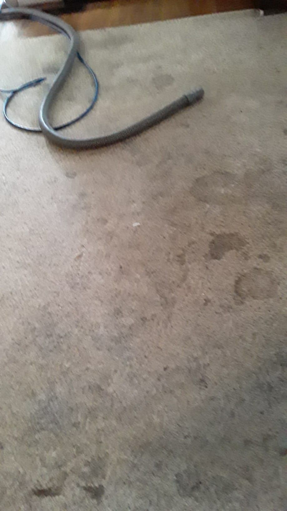 a vacuum hose is laying on a dirty carpet in St. Louis, Missouri