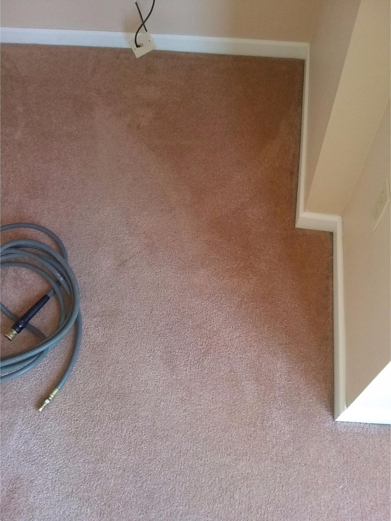a hose is laying on the floor next to a carpet