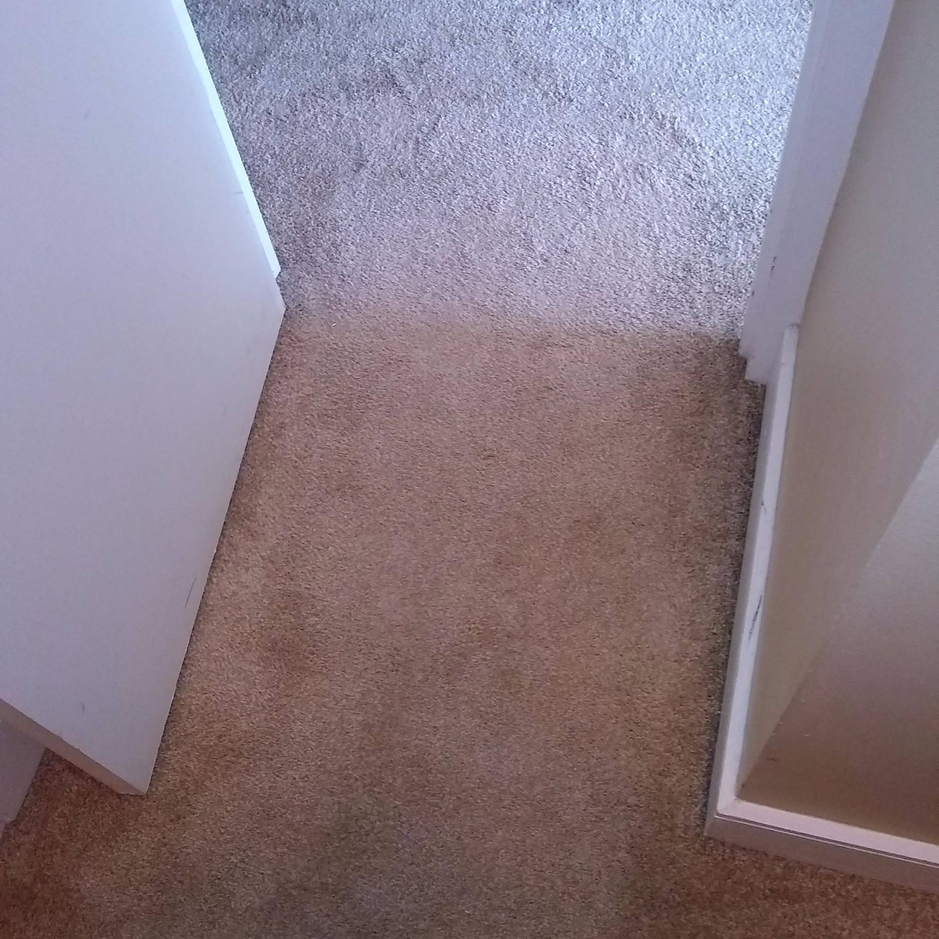 a carpeted floor in a room with a white door