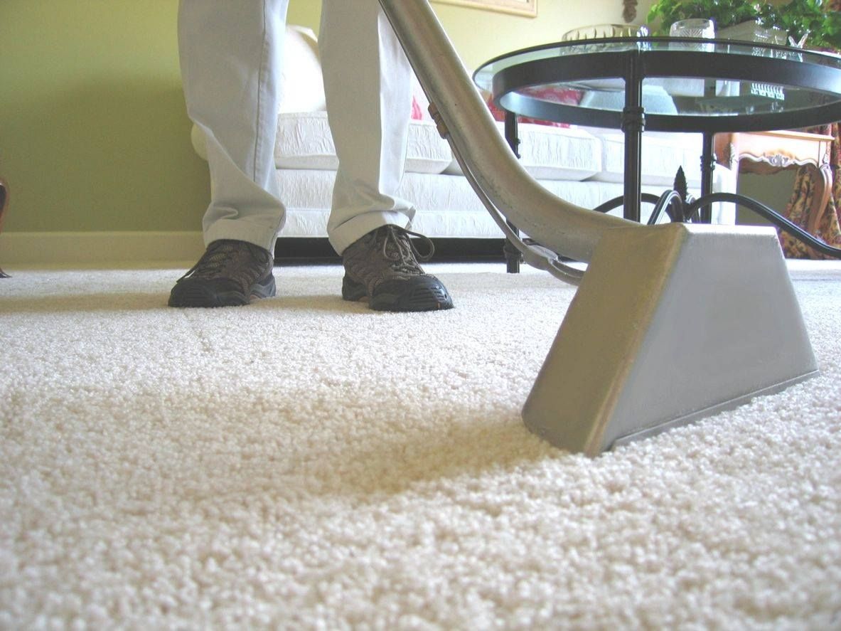 a person cleaning a carpet with a vacuum cleaner