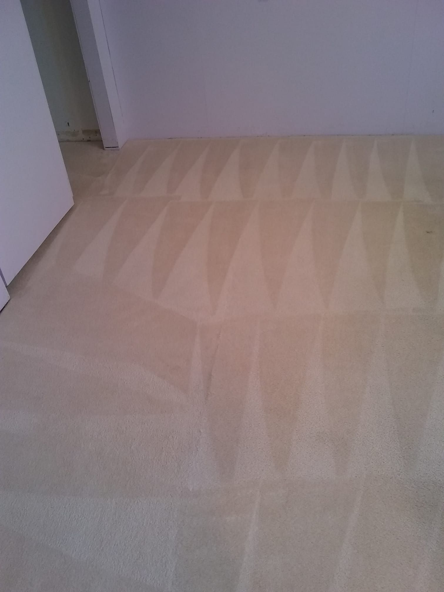 a room with a carpeted floor and a white wall