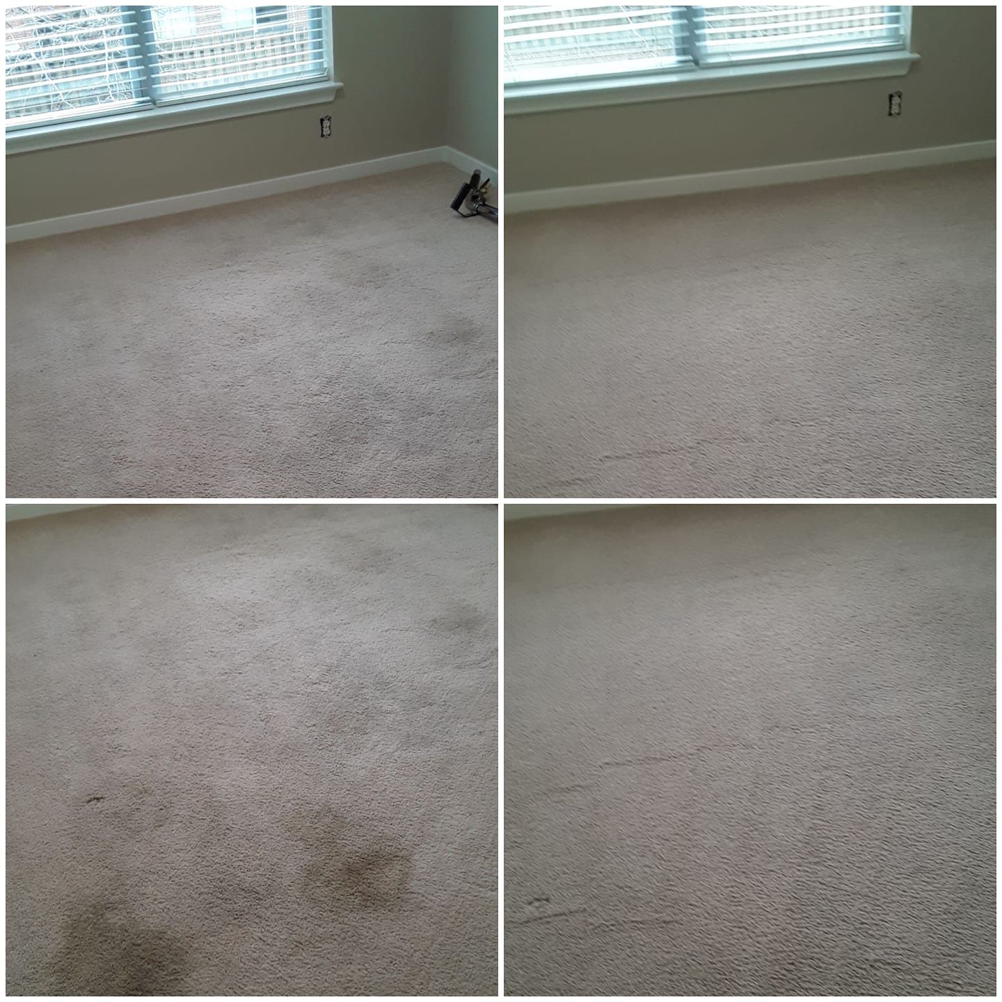 a collage of four pictures of a carpet before and afterin St. Louis, Missouri