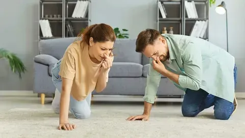 Dirty Carpets Can Affect Your Family’s Health