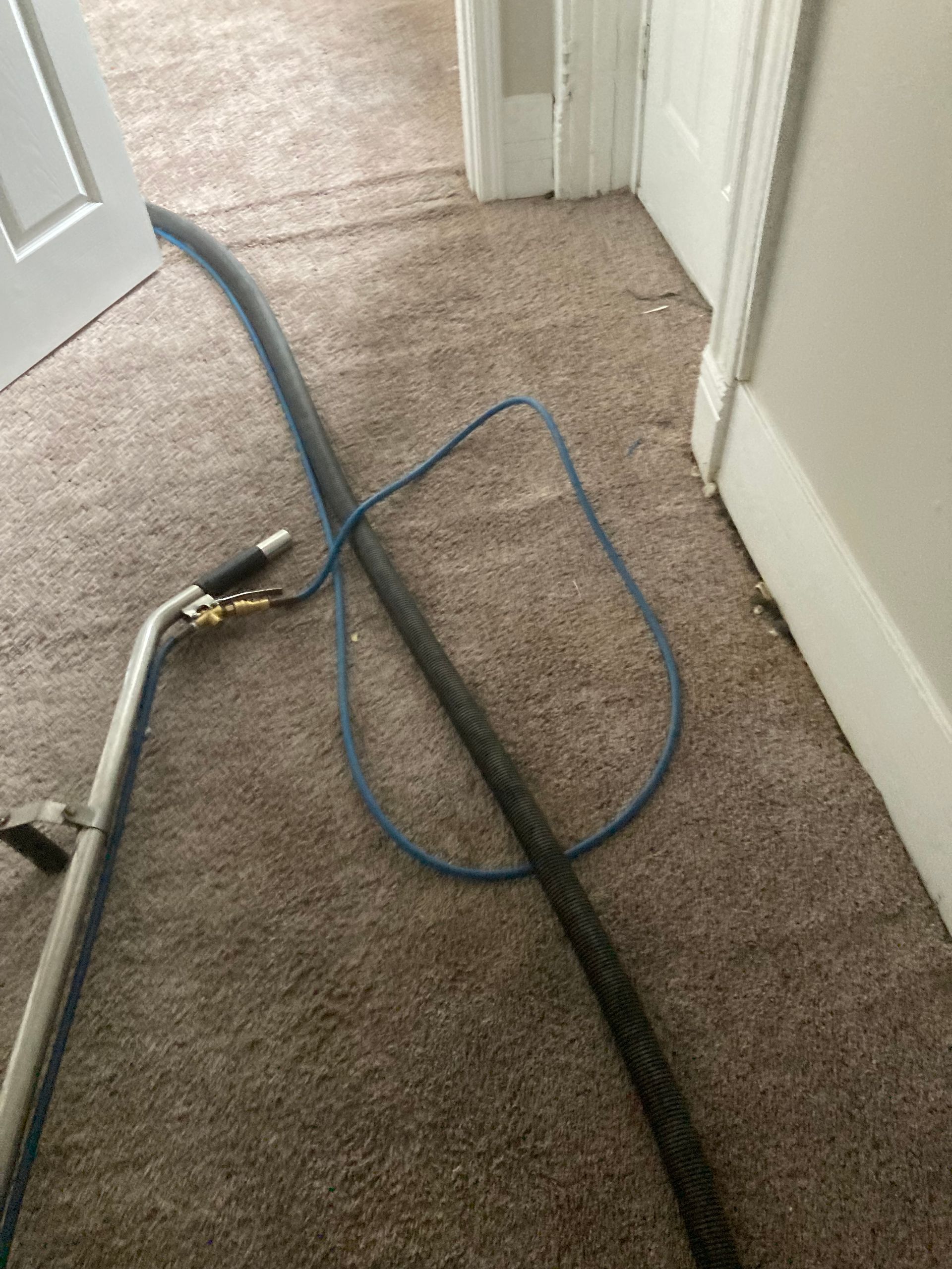 Home carpet maintenance