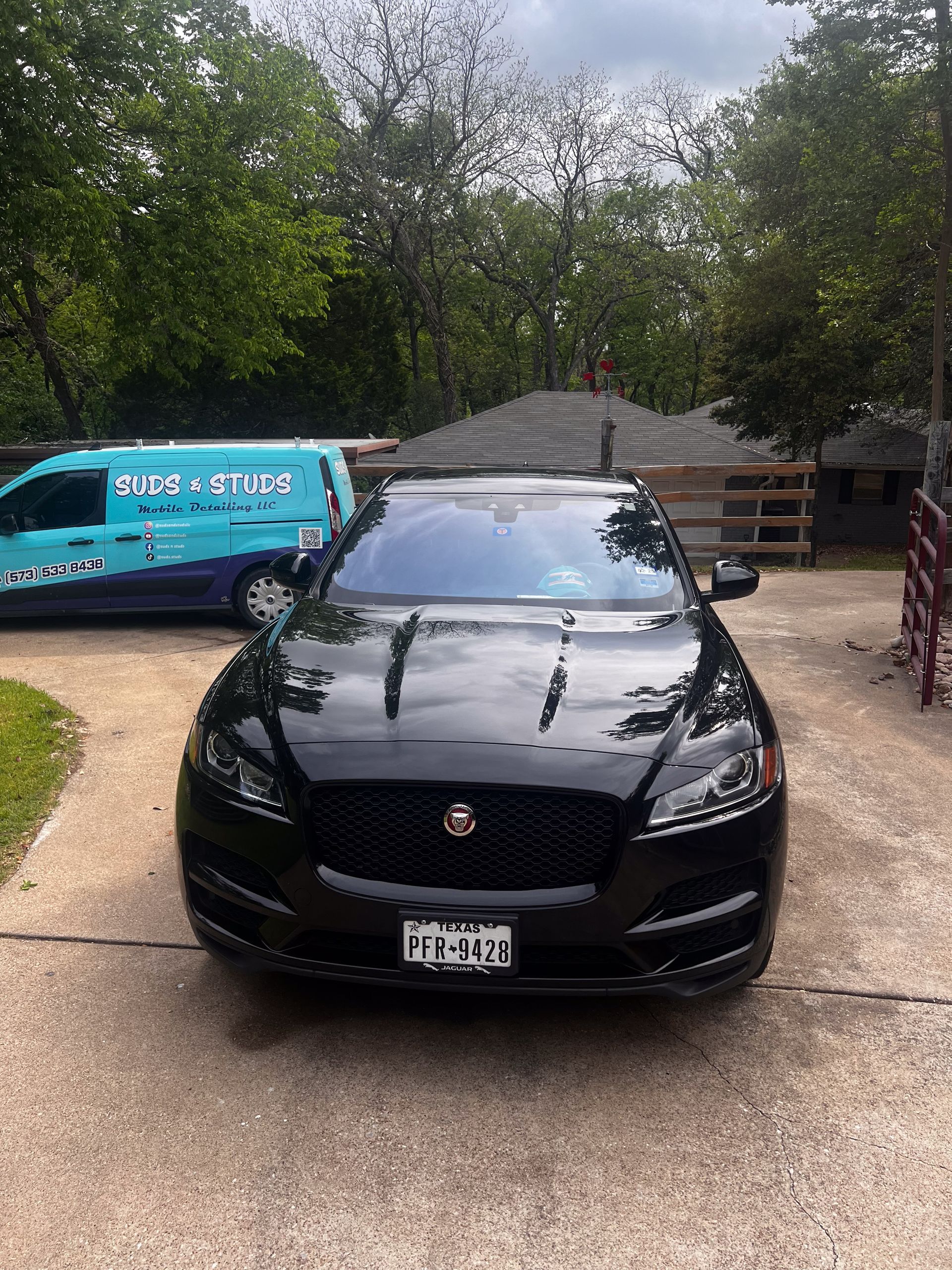 Jaguar 