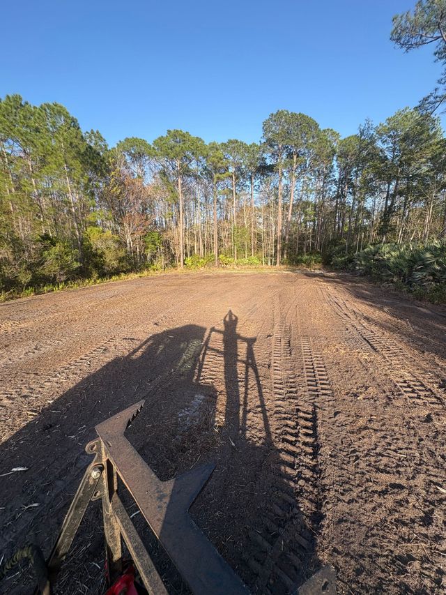 Dirt trail through a wooded clearing with a long vehicle shadow in the foreground