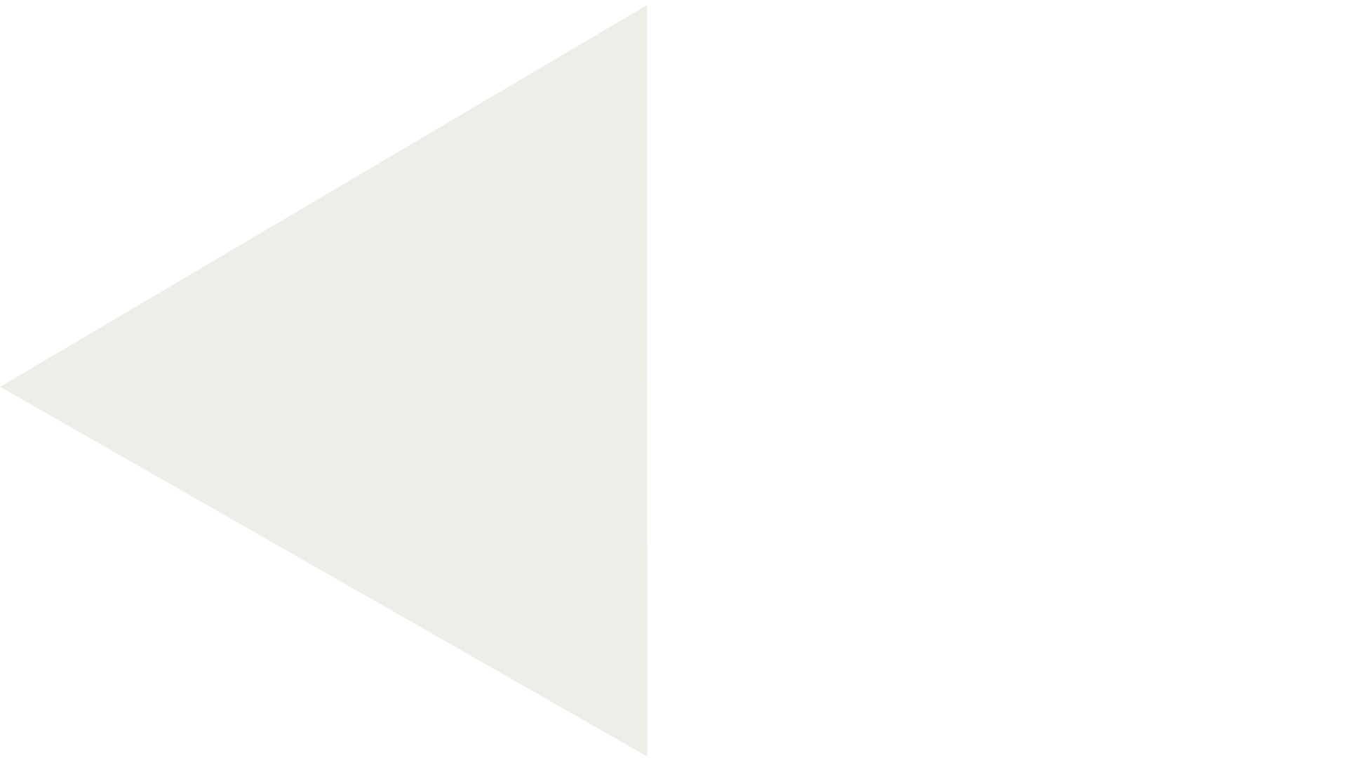 Light gray left-pointing triangle on a white background