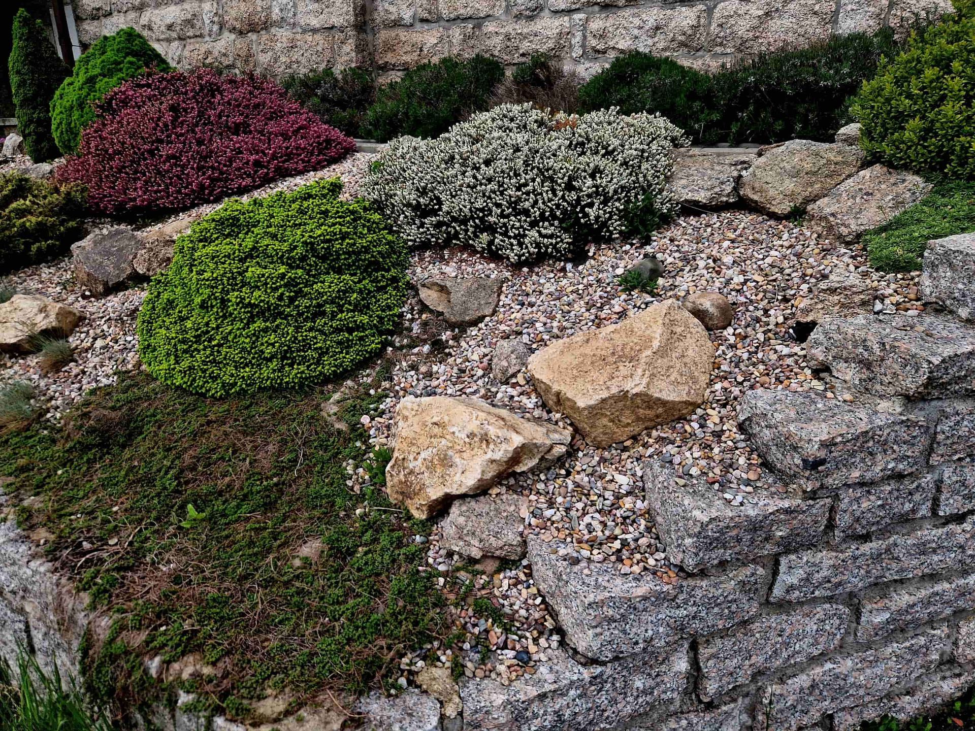 Rock garden with various green, purple, and white plants. Granite block retaining wall.