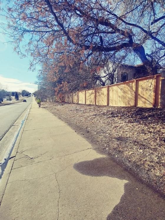 Sidewalk alongside a road. A fence runs along the roadside under a large tree with bare branches.