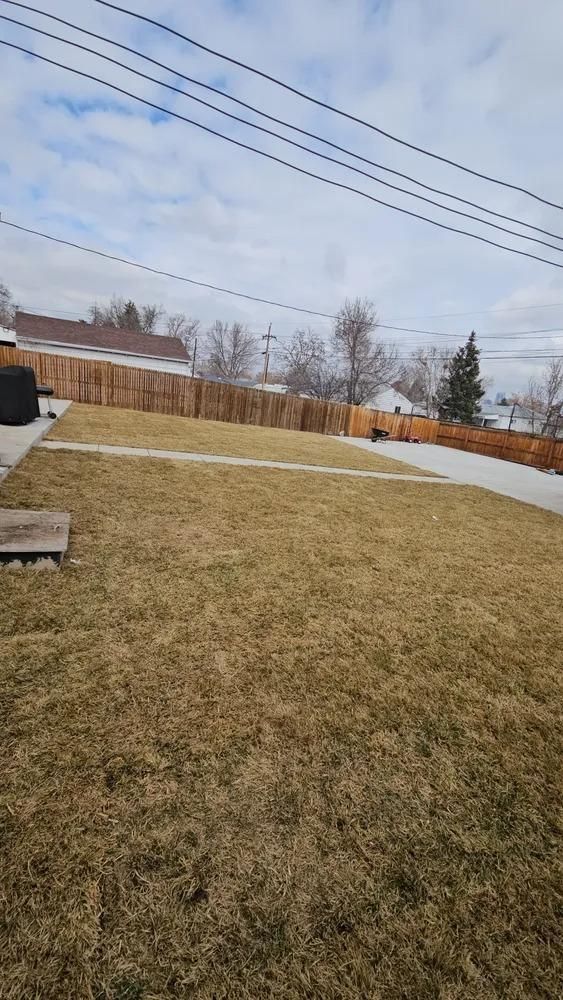 A backyard with brown grass, a wooden fence, and power lines under a cloudy sky.