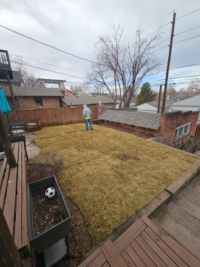 Person in backyard with dead grass; buildings and cloudy sky in background.