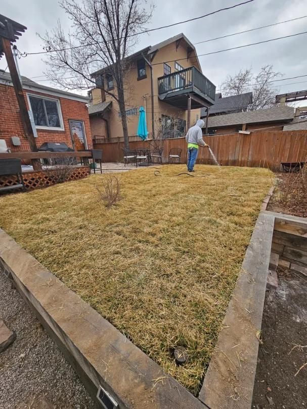 Person raking dry grass in a backyard. 