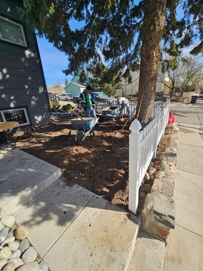 People working in a front yard, a wheelbarrow and a fence present. 