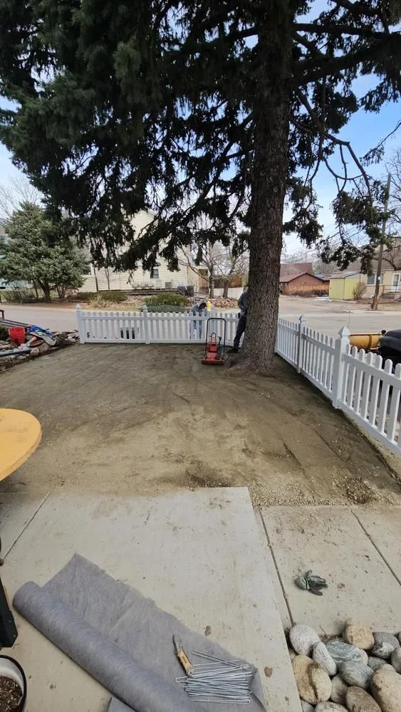 A yard leveled with dirt, bordered by a white picket fence and a large tree, next to a concrete walkway.