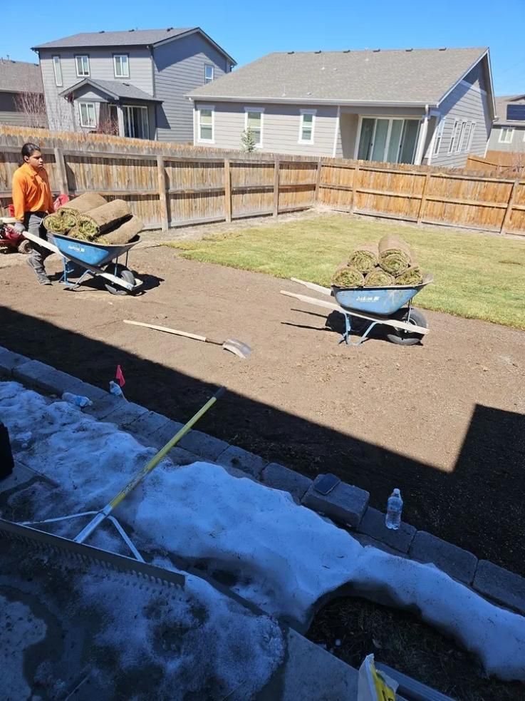 Man pushing wheelbarrow with sod in backyard, brown soil, wooden fence, sunny day.