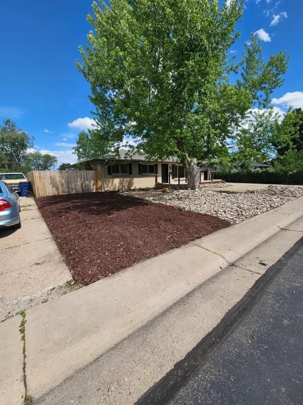 A suburban house with a newly mulched yard and a tree in front. 