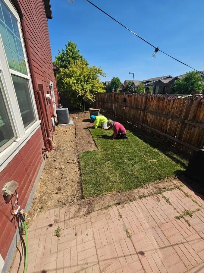 Two people laying sod in a backyard with a brick patio, wooden fence, and blue sky.