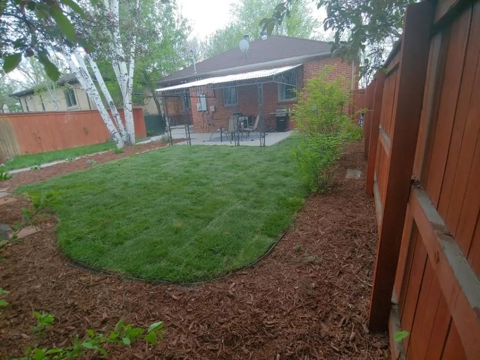 Backyard with newly laid grass, surrounded by mulch and a wooden fence; a brick house in the background.
