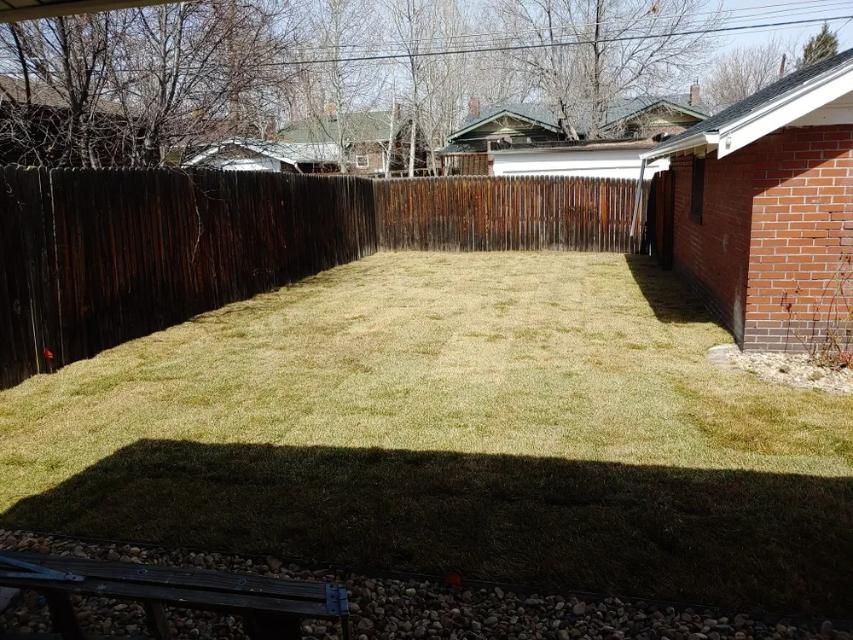 Backyard with brown wooden fence, green grass, and red brick house.