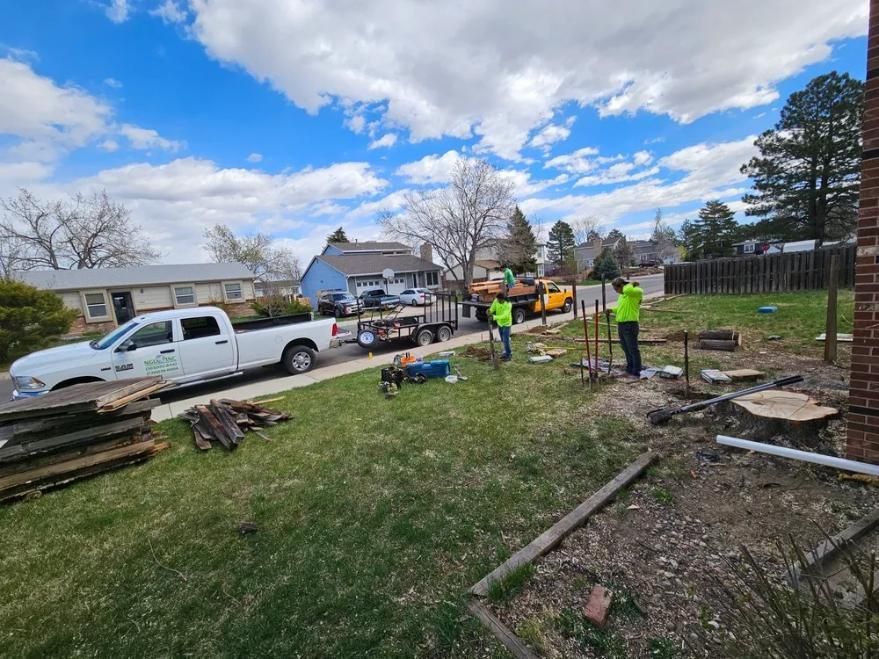 Tree removal crew working in a yard. White truck, yellow vehicle, and tools present. Sunny day.