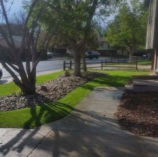 A landscaped yard with trees, green grass, and a rock bed next to a sidewalk.
