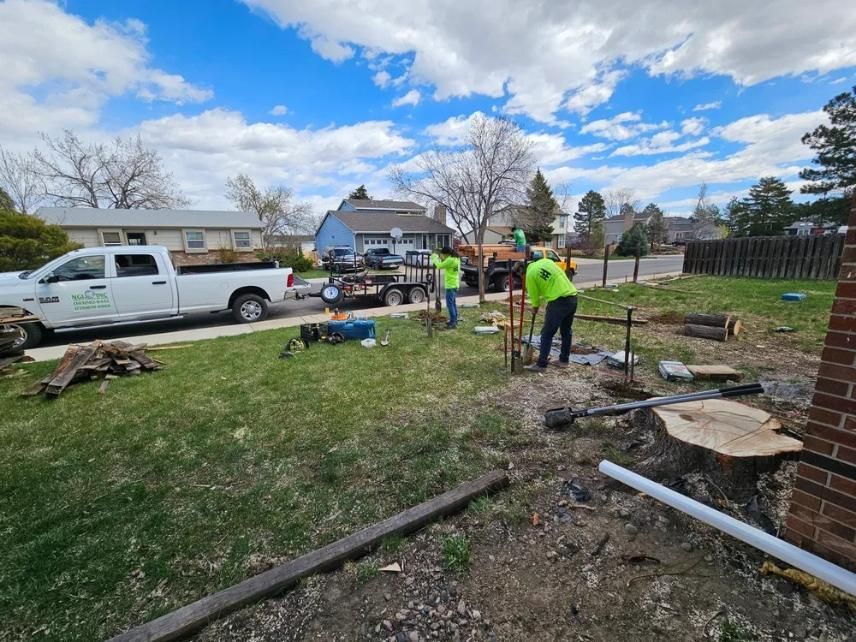Workers in neon vests removing a tree stump in a residential yard with a truck and trailer present.