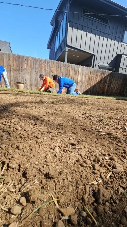 Three people planting grass in a backyard next to a wooden fence. 