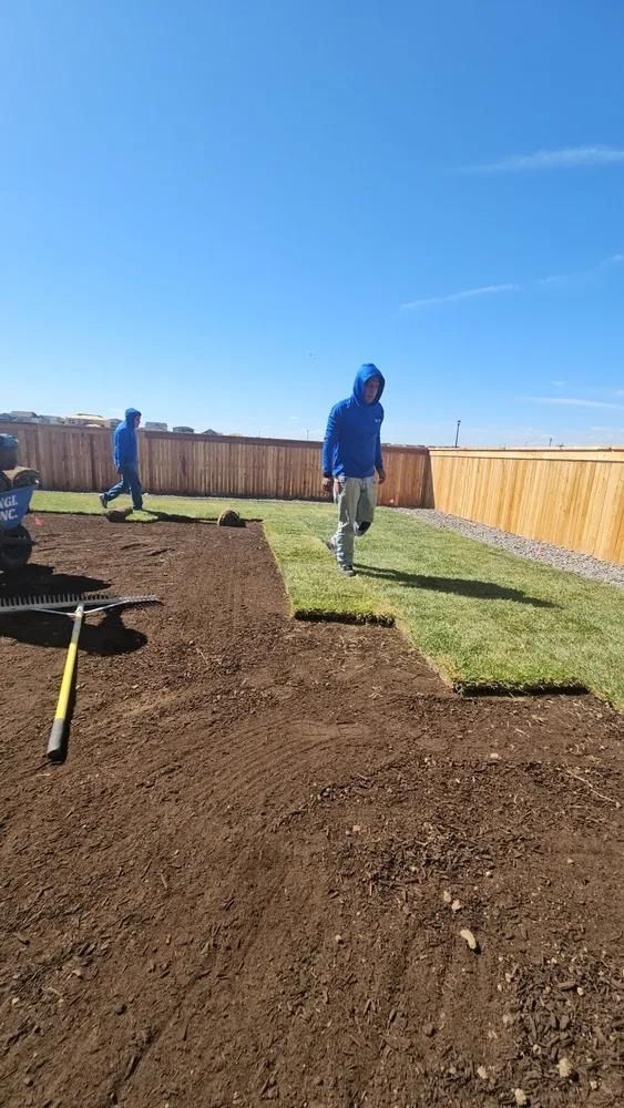 Two people in blue jackets lay sod in a backyard on a sunny day.