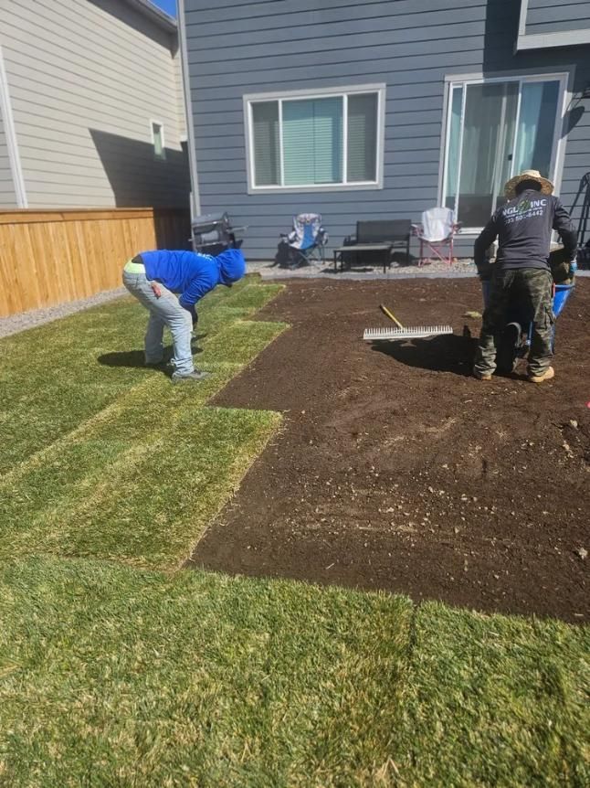 Two workers laying sod in a backyard with a wooden fence and a blue house. 