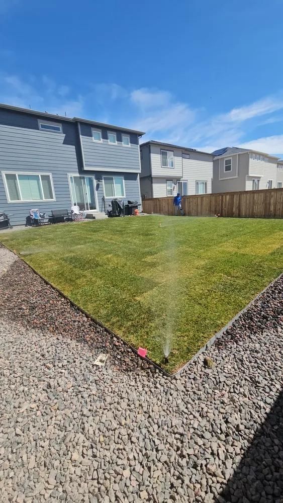 Backyard with green grass, sprinkler spraying water, gravel border, and houses under a blue sky.