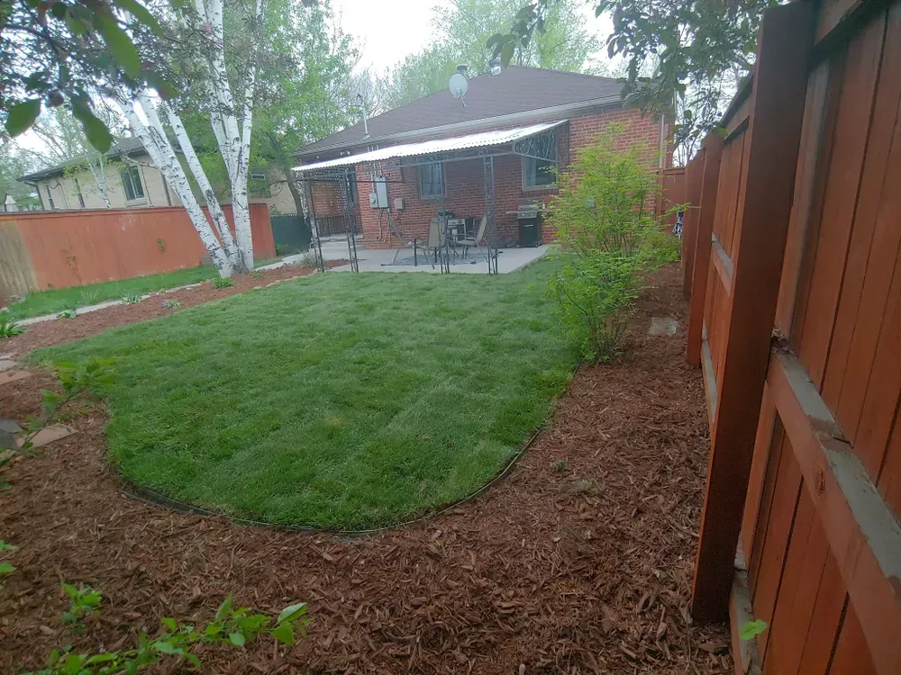 Backyard with fresh green grass, mulch borders, and a red wooden fence.