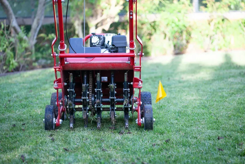 Red lawn aerator on green grass, preparing the yard for better growth.