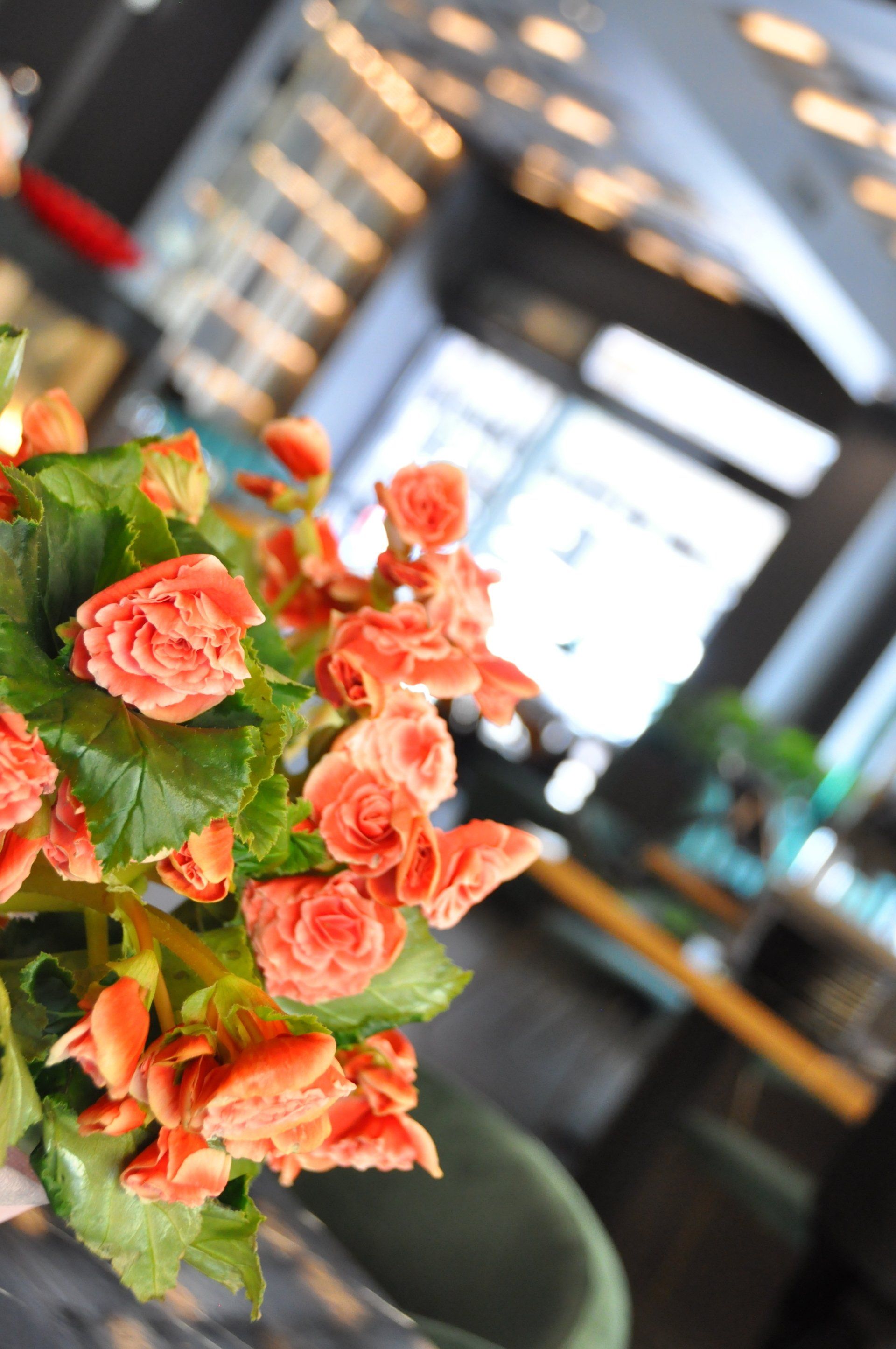 ristorante cinese