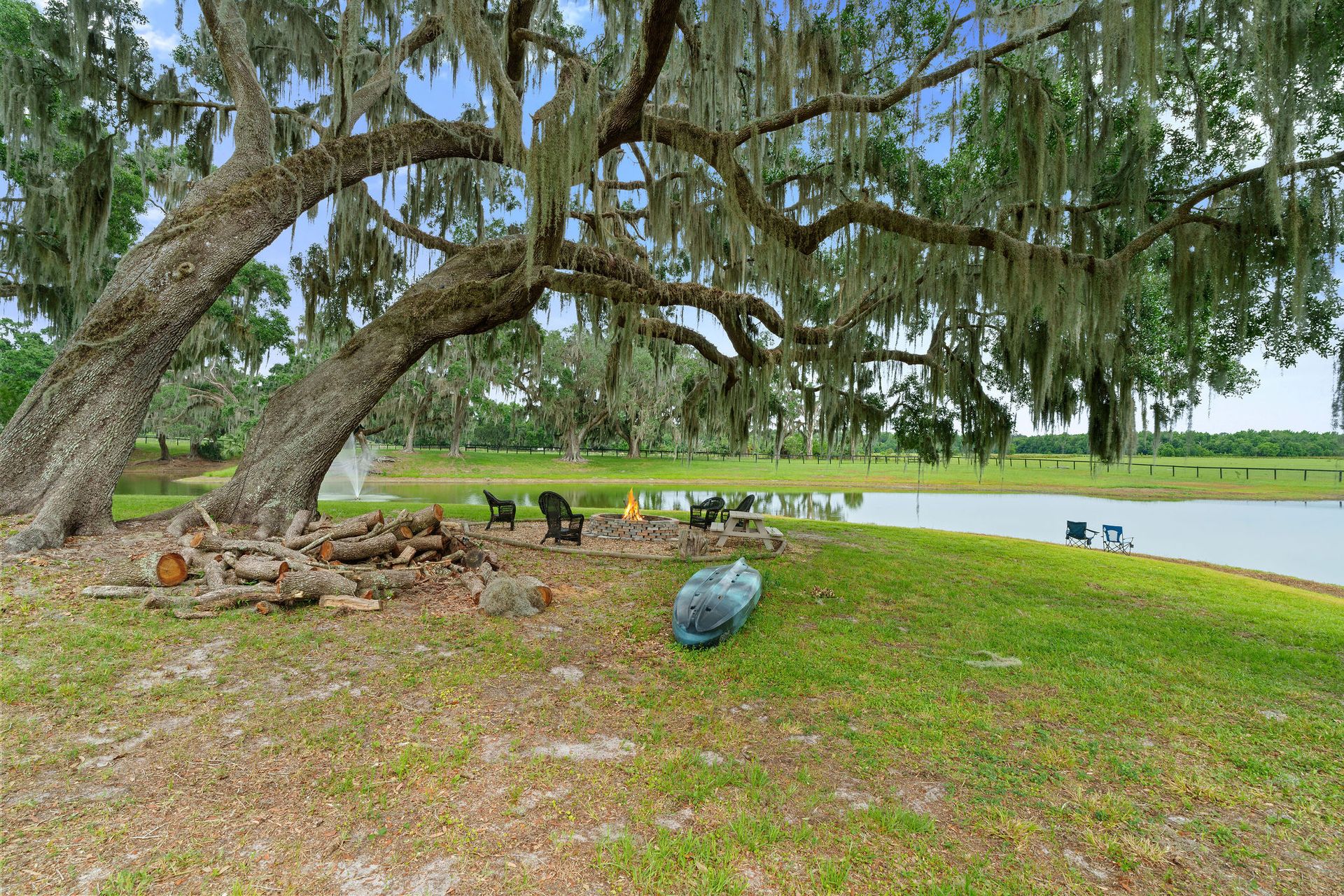 There is a large tree in the middle of the grass next to a lake.