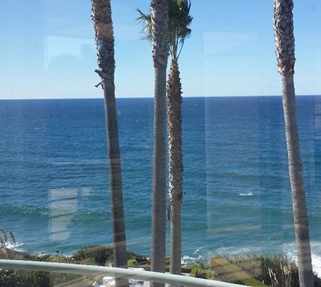 Ocean view through window; tall palm trees, blue water, sunny sky.