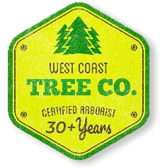 The west coast tree co. is a certified arborist for 30+ years.