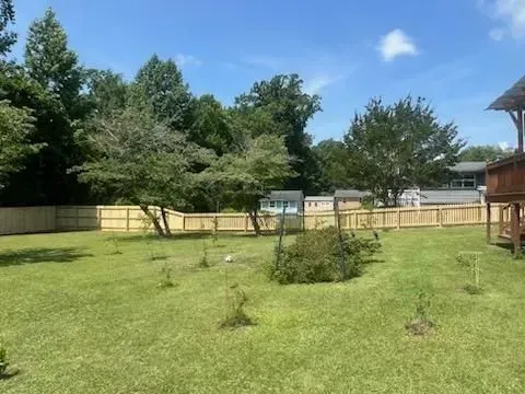 Backyard with green lawn, small trees, wooden fence, and a house on the right under a clear sky.