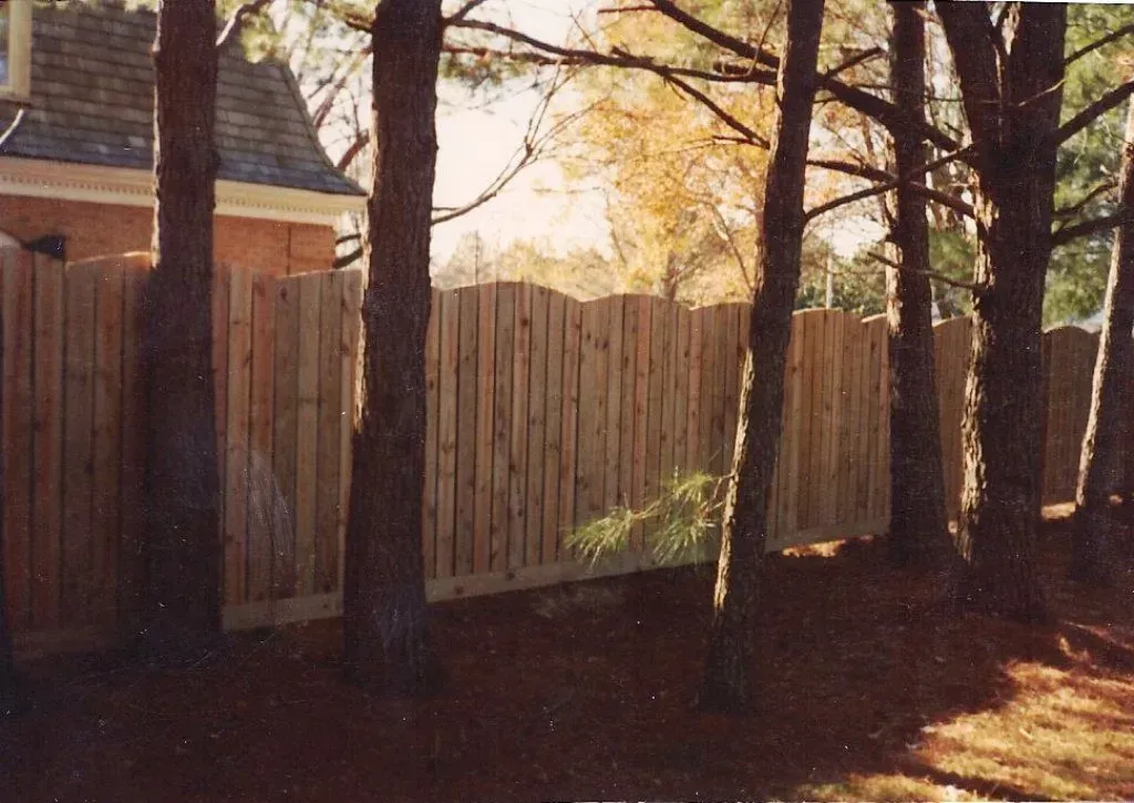 Sunlit wooden fence and trees in a backyard beside a house Sunlit wooden fence and trees in a backyard beside a house