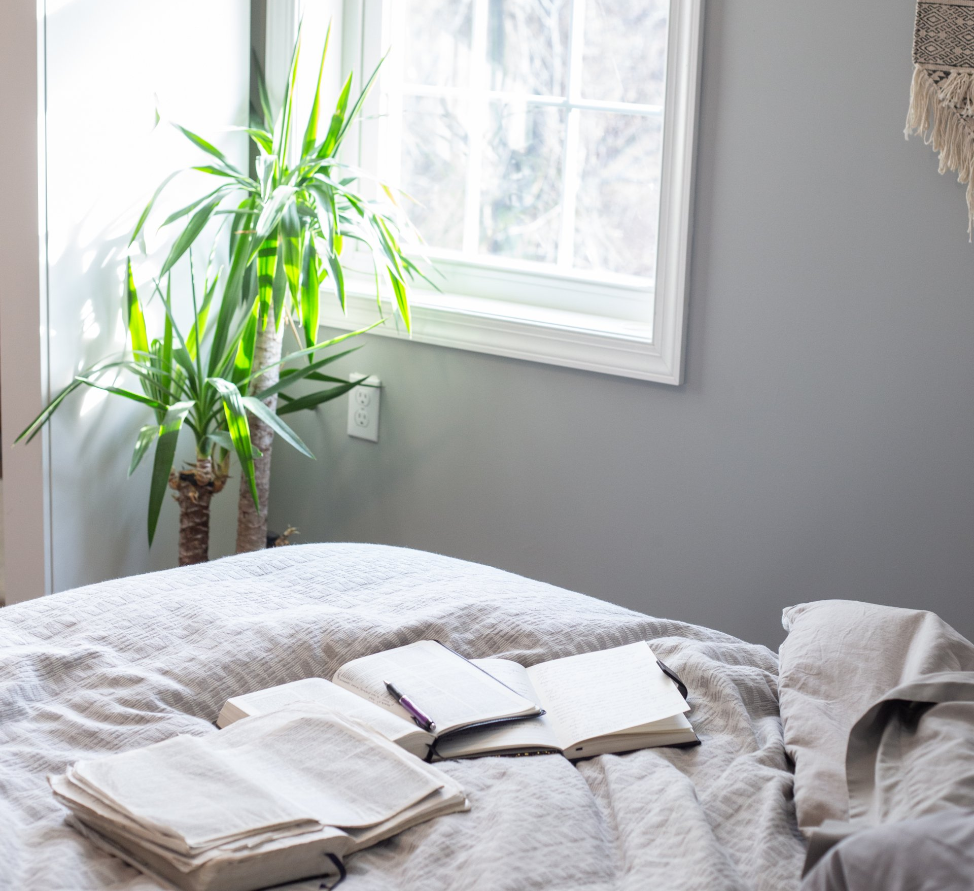 hope, healing, rest, restorable, he restores my soul, Jen Mininger Photography