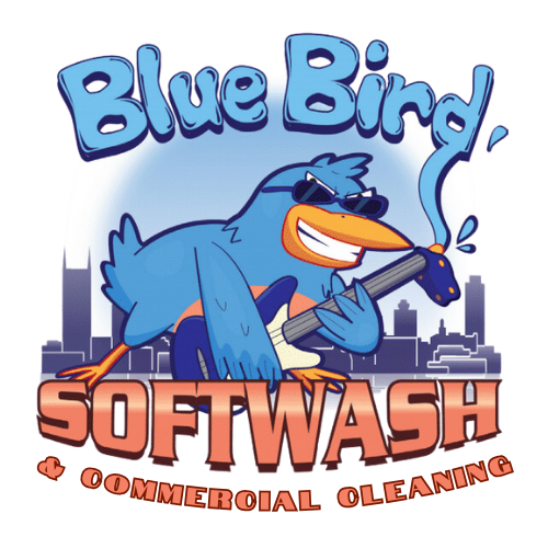 blue bird soft wash