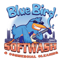blue bird soft wash