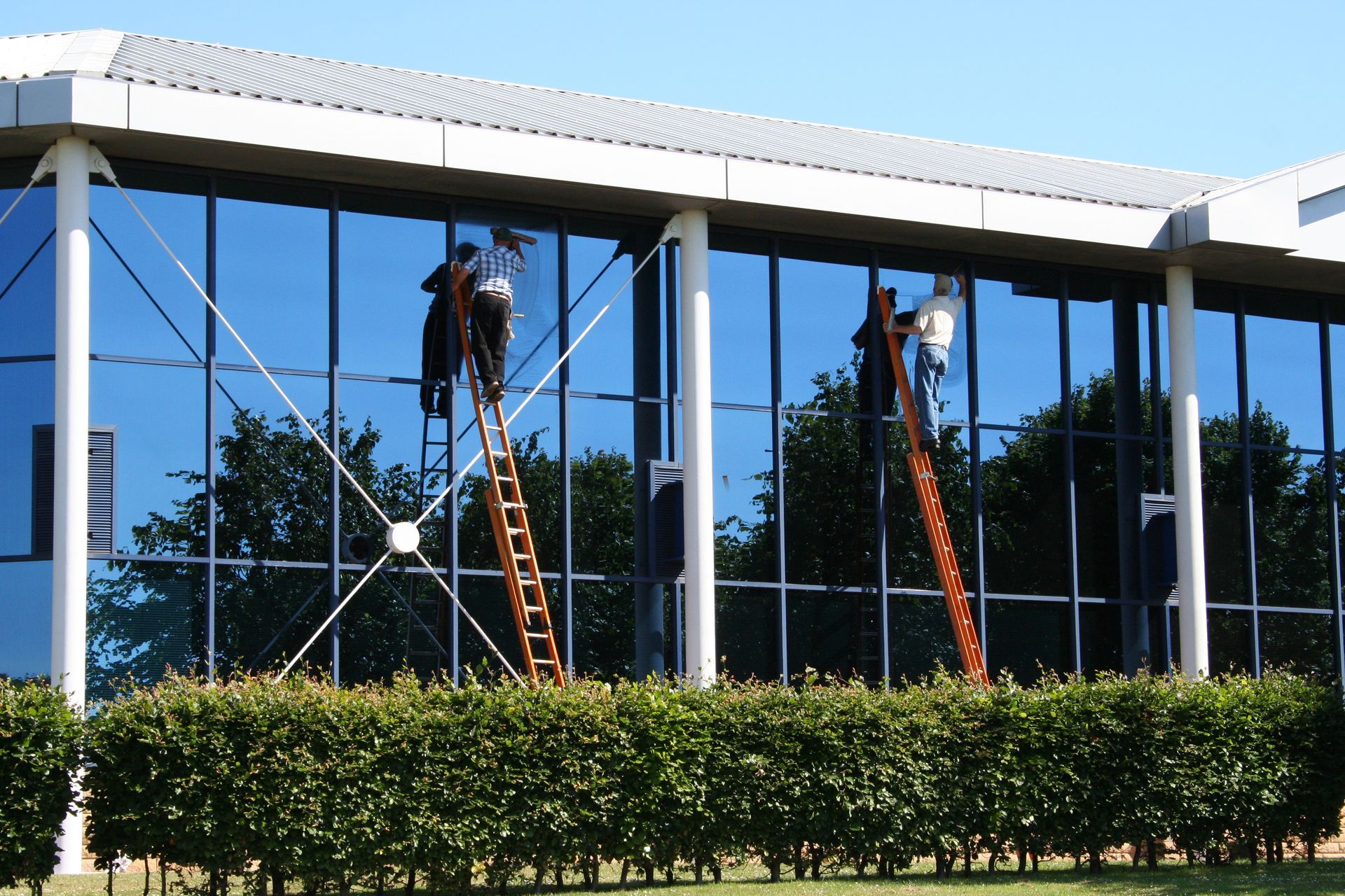 Two workers on ladders cleaning large windows of a modern building with blue glass.
