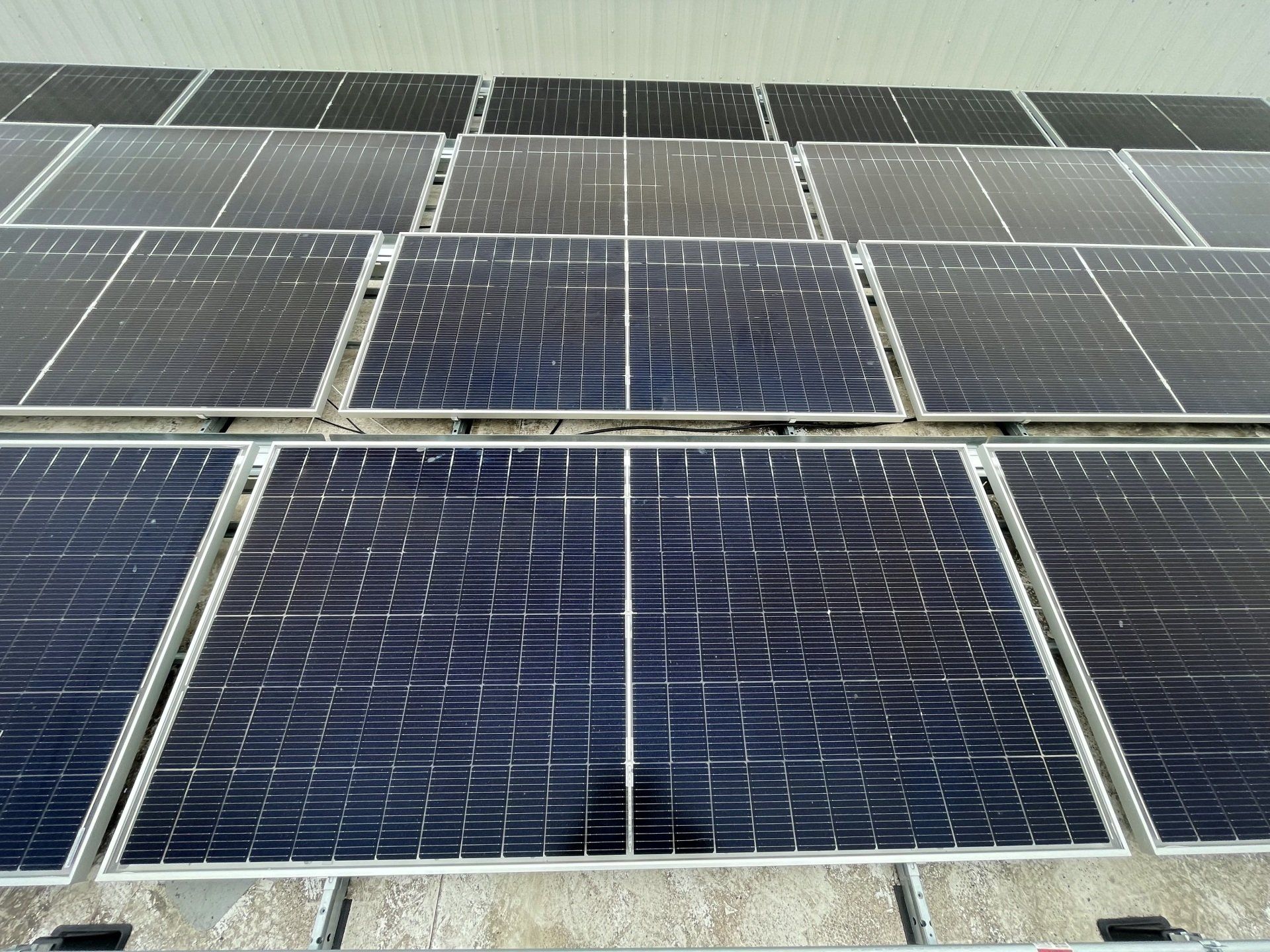 Rows of blue solar panels on a rooftop under bright daylight.