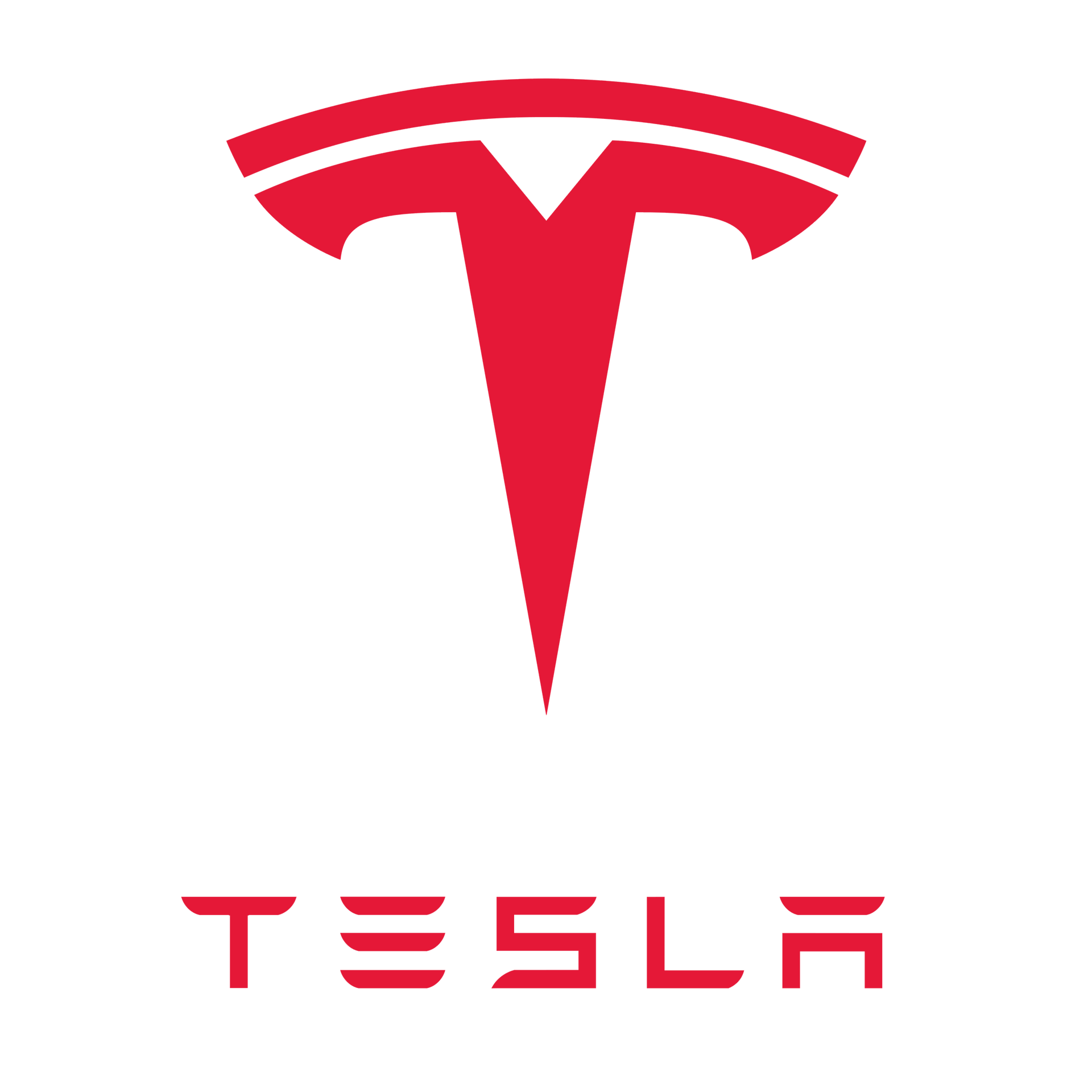 Tesla logo in red on a white background