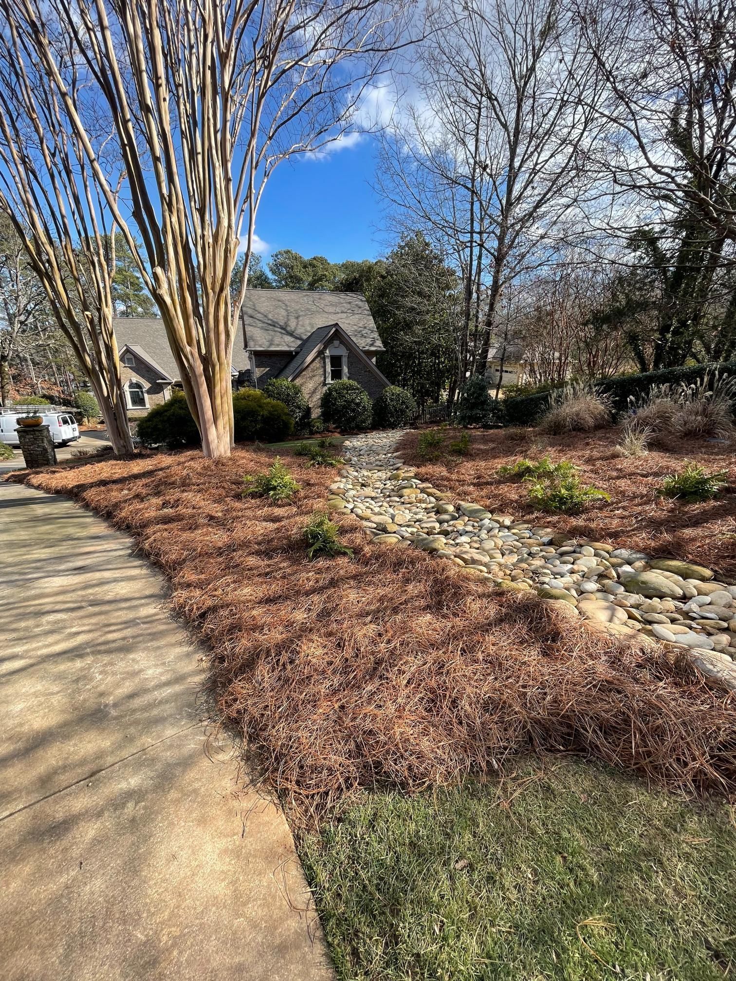 There is a house in the background and a path leading to it.