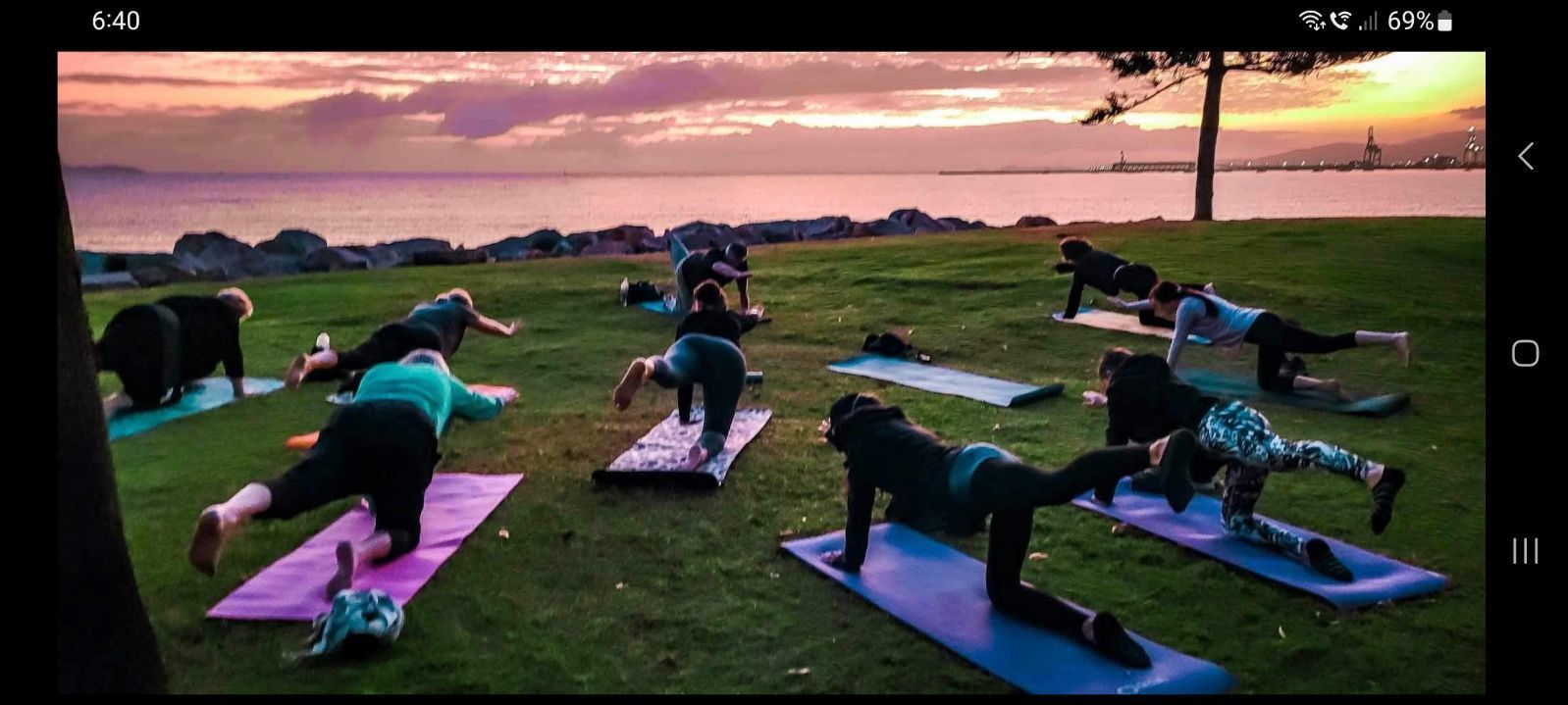 People doing yoga on mats in a grassy field at sunset